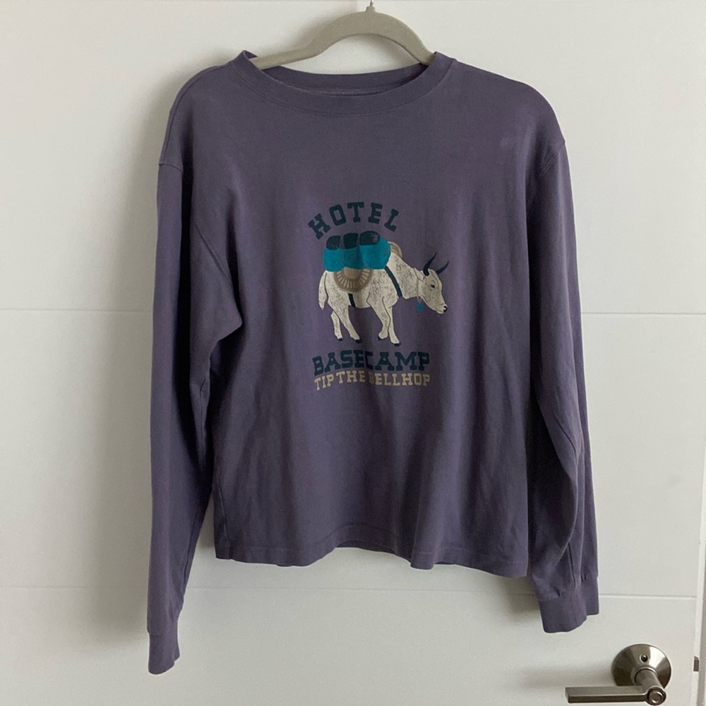 Mountain hardware graphic long sleeve